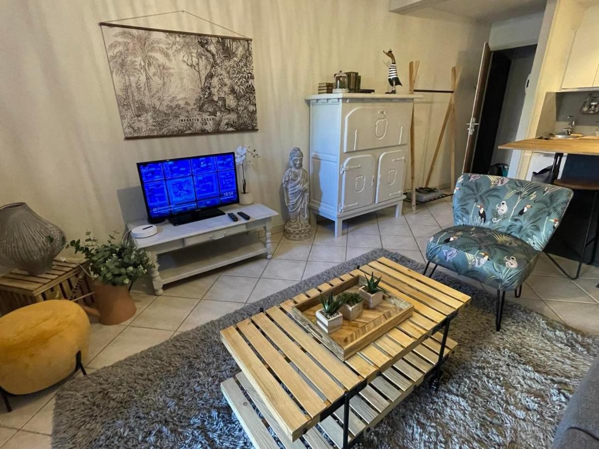 Le Patio, Coeur De Ville Avec Garage Et Jardin Vannes Eksteriør billede