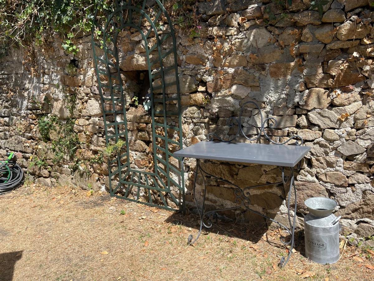 Le Patio, Coeur De Ville Avec Garage Et Jardin Vannes Eksteriør billede